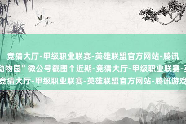 竞猜大厅-甲级职业联赛-英雄联盟官方网站-腾讯游戏笃定如下：“昆明动物园”微公号截图↑近期-竞猜大厅-甲级职业联赛-英雄联盟官方网站-腾讯游戏