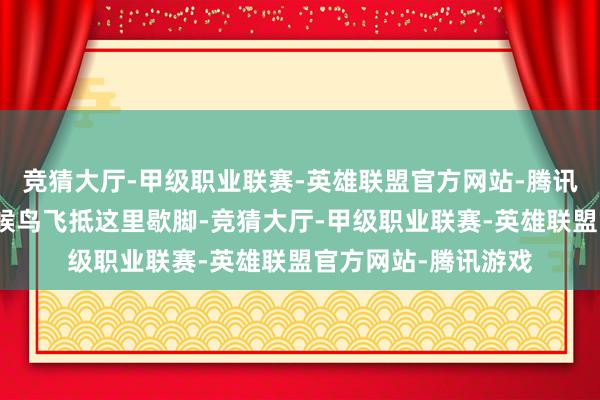 竞猜大厅-甲级职业联赛-英雄联盟官方网站-腾讯游戏上千只迁移的候鸟飞抵这里歇脚-竞猜大厅-甲级职业联赛-英雄联盟官方网站-腾讯游戏