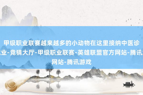 甲级职业联赛越来越多的小动物在这里接纳中医诊疗就业-竞猜大厅-甲级职业联赛-英雄联盟官方网站-腾讯游戏