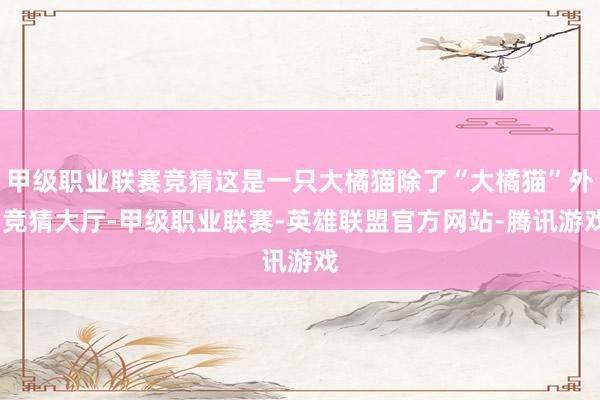 甲级职业联赛竞猜这是一只大橘猫除了“大橘猫”外-竞猜大厅-甲级职业联赛-英雄联盟官方网站-腾讯游戏